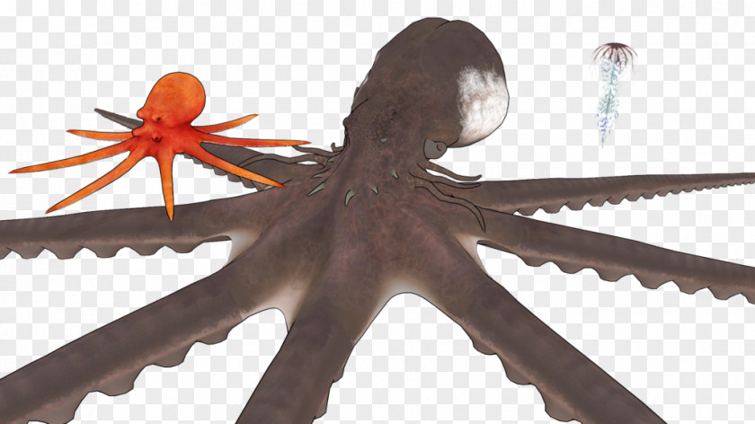Nature Sea Animals Jellyfish Octopus Marine Invertebrates DeviantArt Aquatic Animal PNG