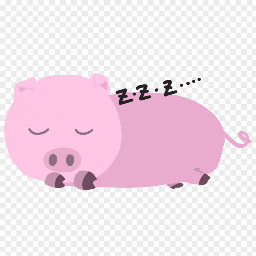 Pig Domestic Pork PNG