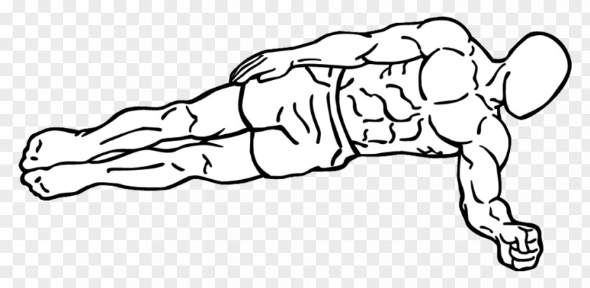 Plank Exercise Crunch Abdominal External Oblique Muscle Rectus Abdominis Isometric PNG