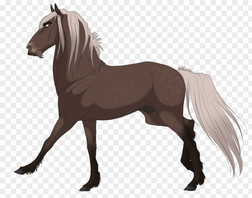 Shading Style Mustang Drawing Stallion American Frontier Model Sheet PNG