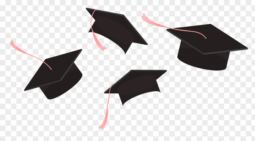 Throwing Cap Graduation Ceremony Poster Icon PNG