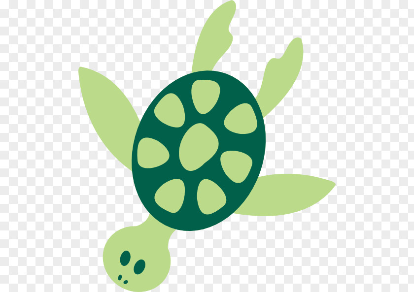Under Sea Green Turtle Clip Art PNG