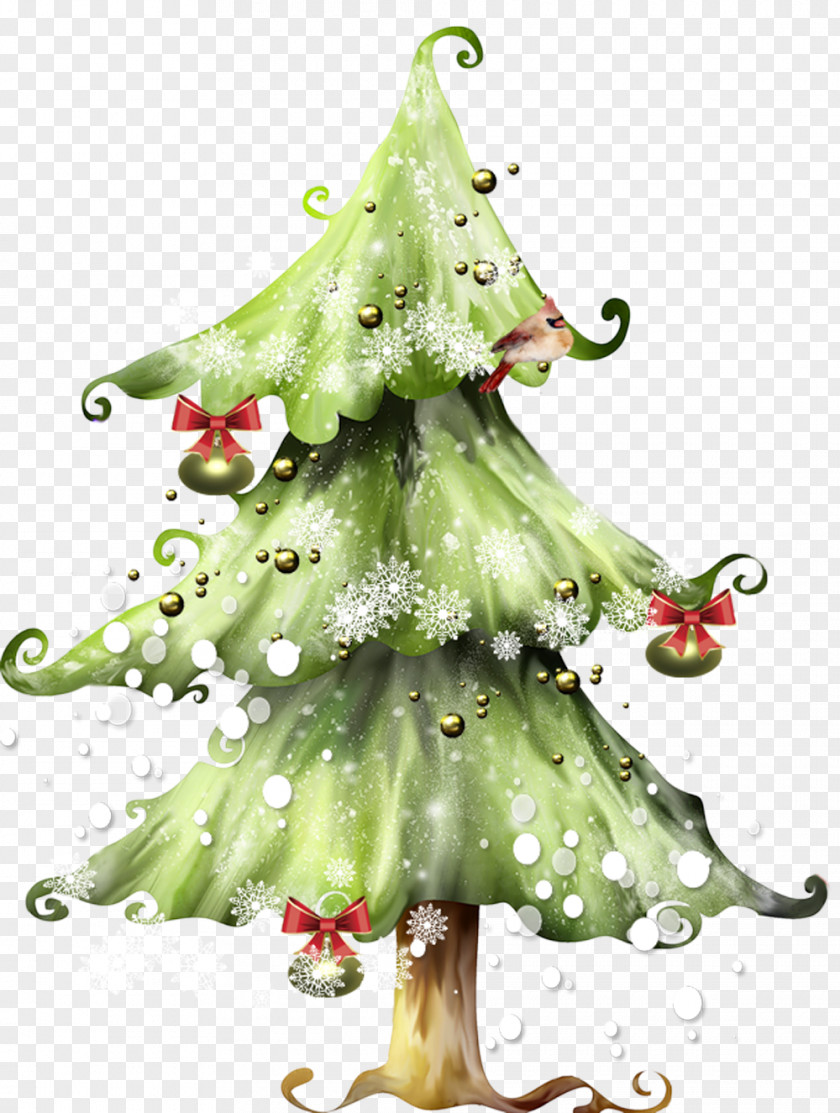 Christmas Tree Branches Free Picture Buckle Fir Clip Art PNG
