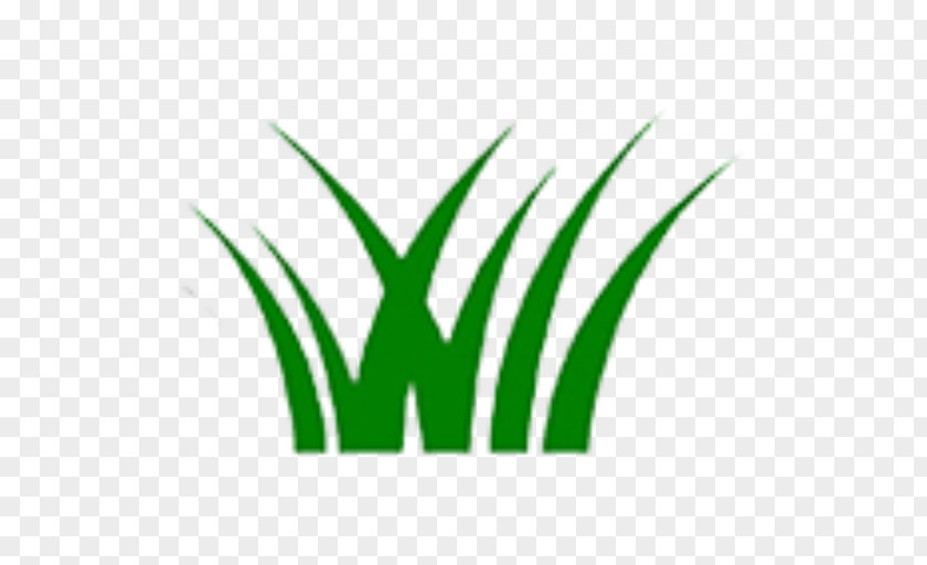 Leaf Logo Grasses Plant Stem Font PNG