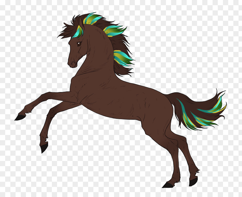 Mustang Mane Pony Foal Stallion PNG