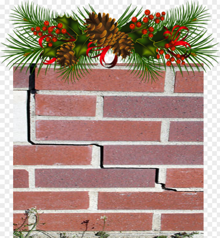 Wall Crack Christmas Conifer Cone Pine Clip Art PNG