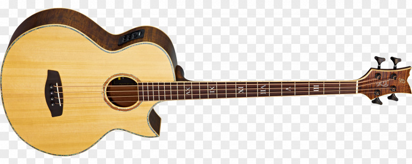 Acoustic Guitar Musical Instruments Bass String PNG