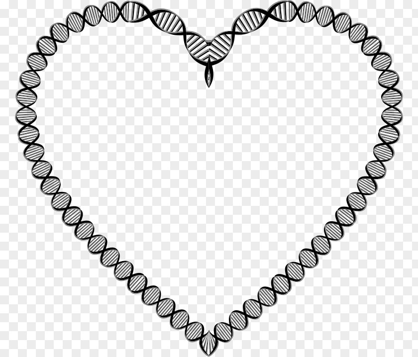 Heart A-DNA Nucleic Acid Double Helix Genetics Biology PNG