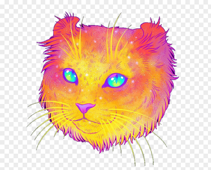 Mid Osmanthus Cat Kitten Illustrator Art PNG