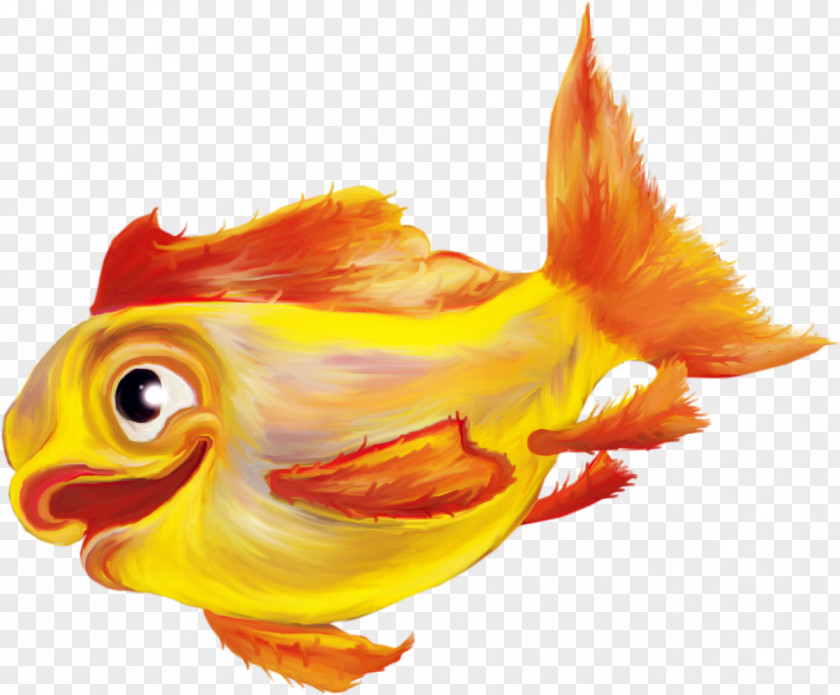 Shrimps Fish Download Clip Art PNG