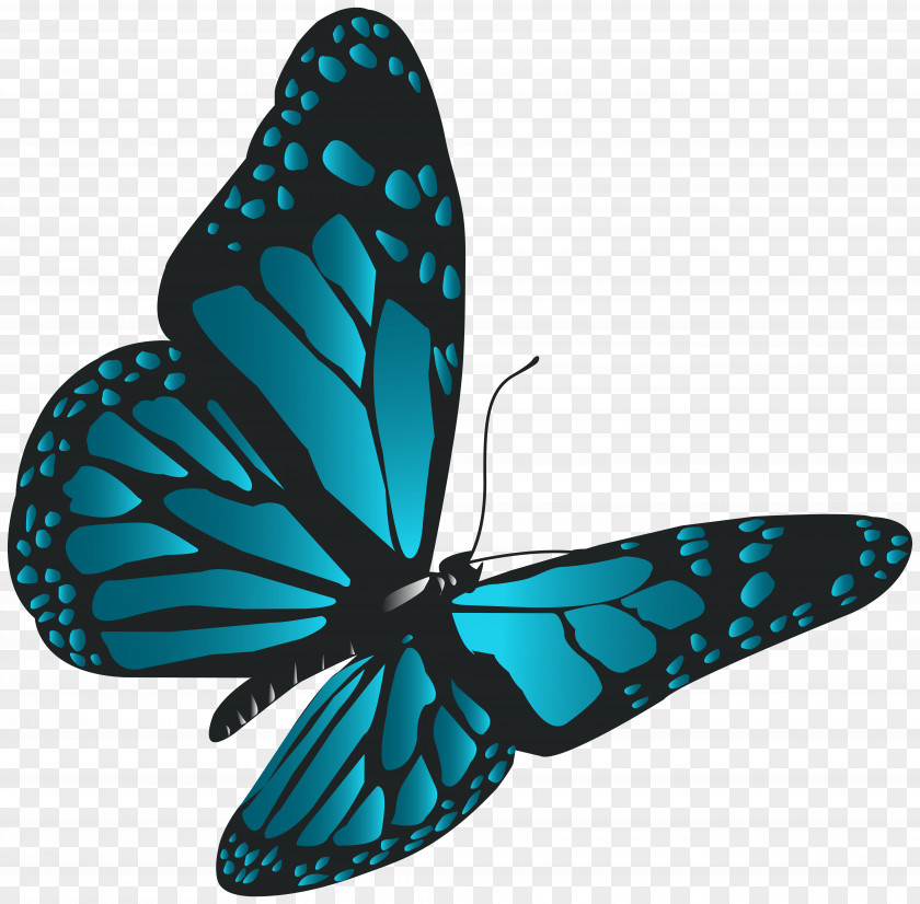 Blue Butterfly Clip Art Monarch PNG