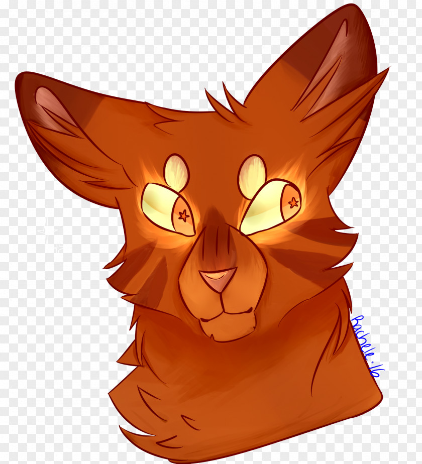 Cat Whiskers Drawing Speed Painting PNG