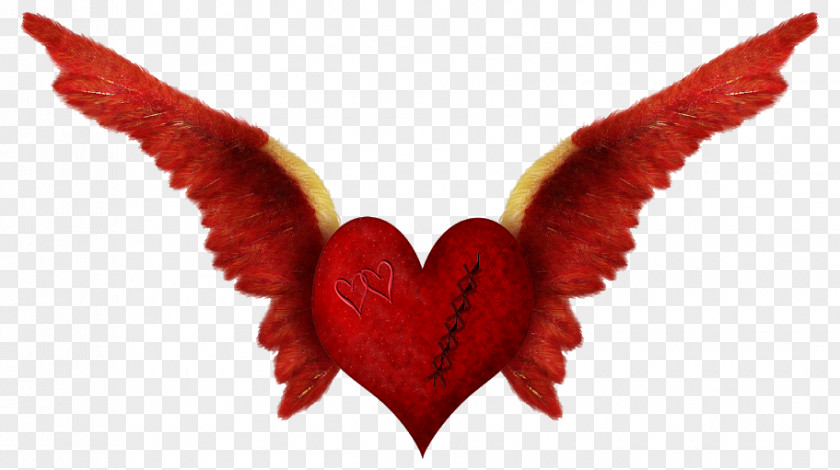 Heart Wing Love Romance PNG