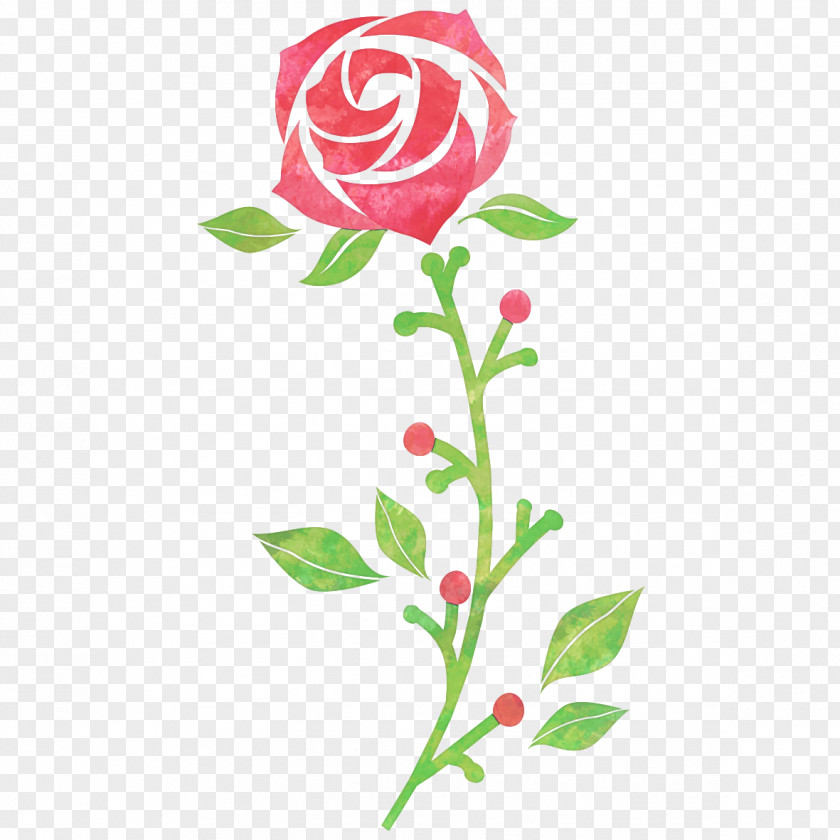 Rose Les Roses バラ図譜 Drawing PNG