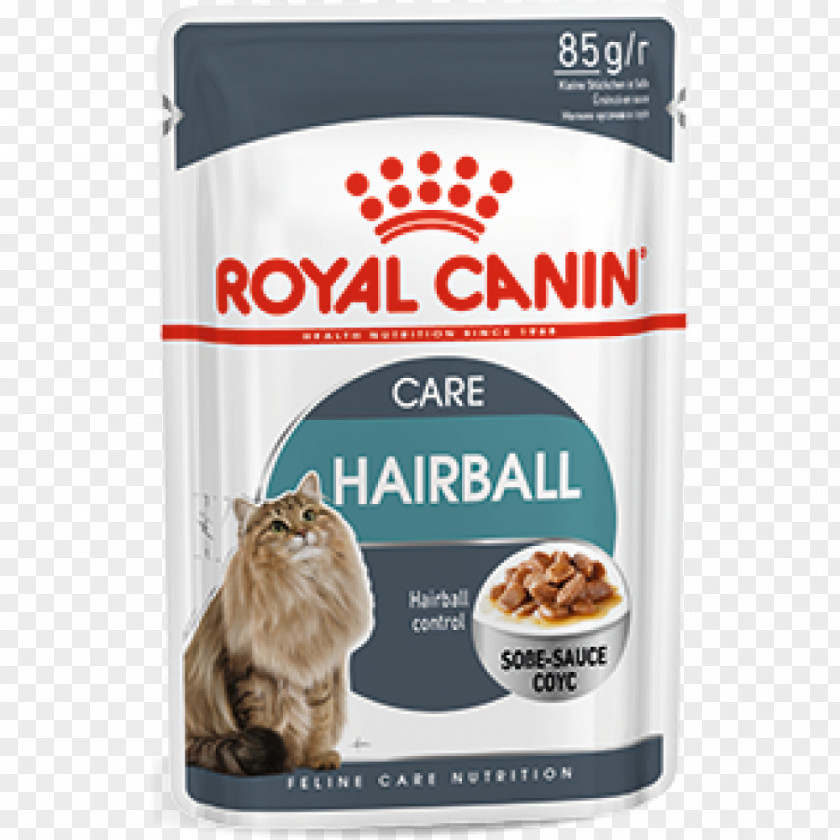 Cat Food Dog Kitten Royal Canin PNG