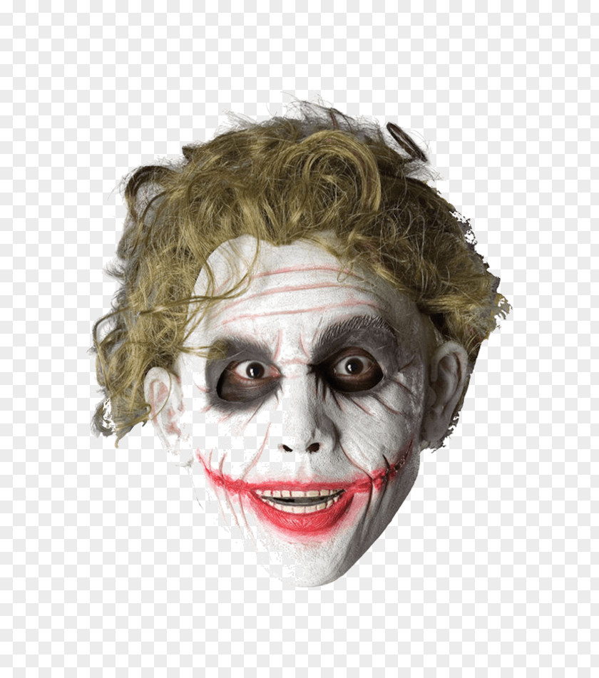 Joker The Dark Knight Batman Wig PNG