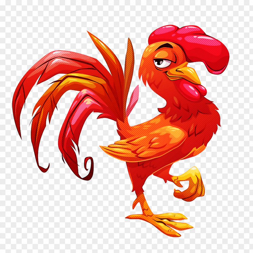 Rooster Bird Chicken Beak Livestock PNG