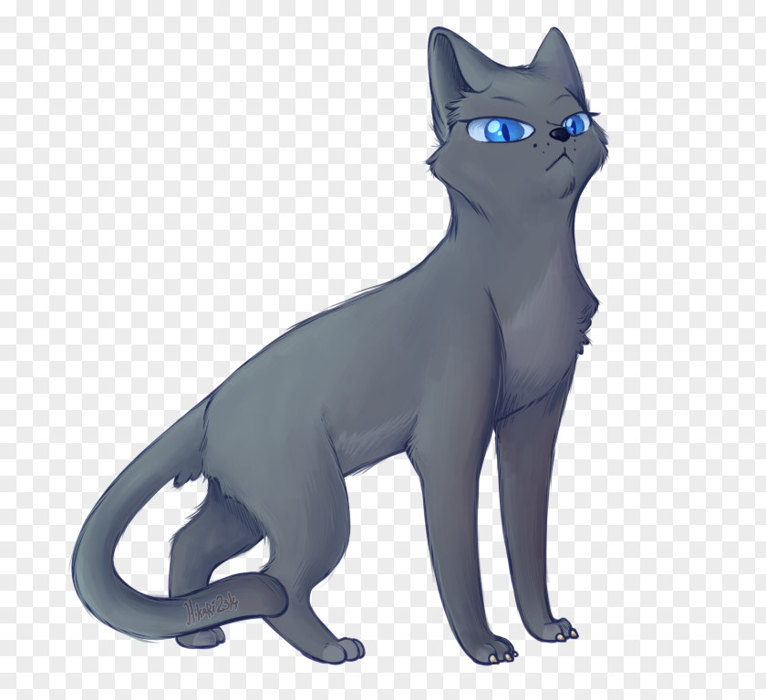 Warriors Bluestar's Prophecy Into The Wild Drawing Cat PNG