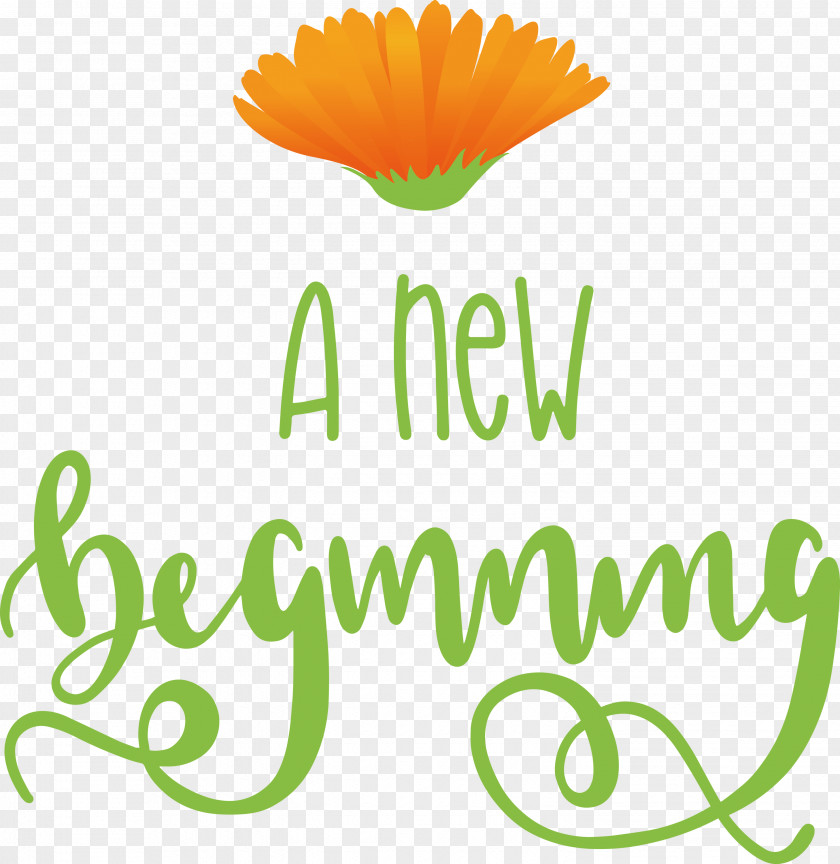 A New Beginning PNG