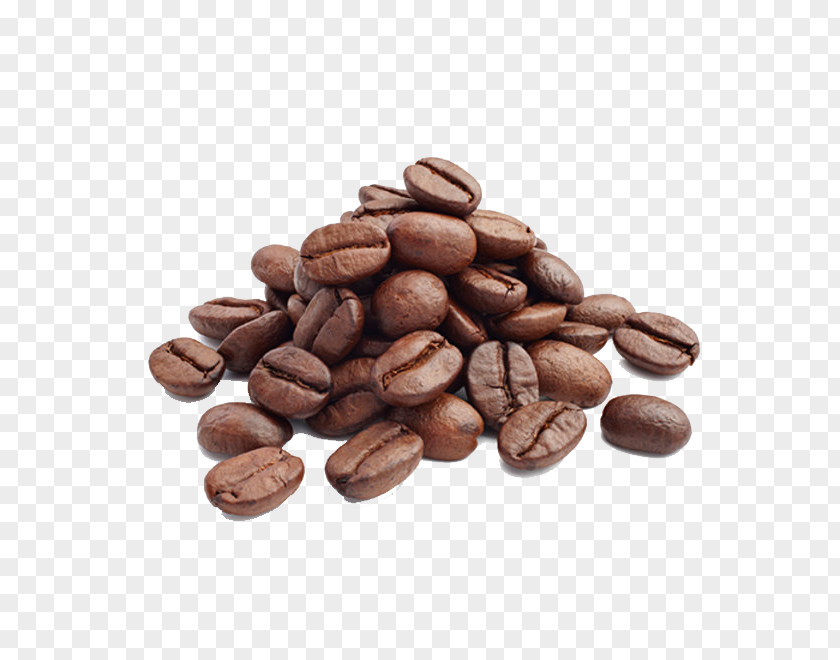 Coffee Arabica Cafe Bean Roasting PNG