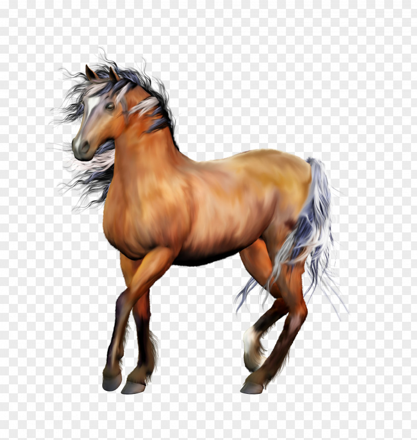 Handsome Horses Sticker Horse Animation PNG
