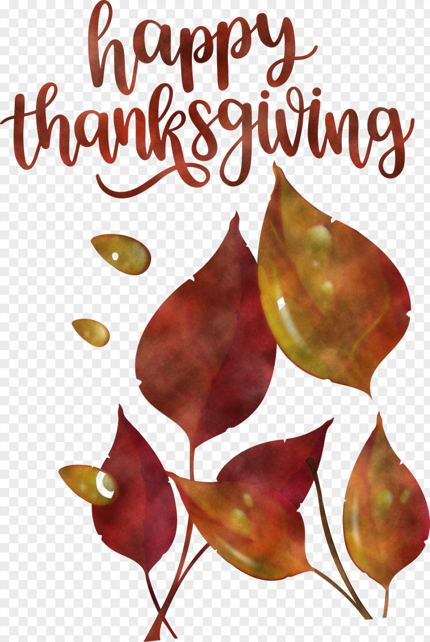 Happy Thanksgiving Autumn Fall PNG