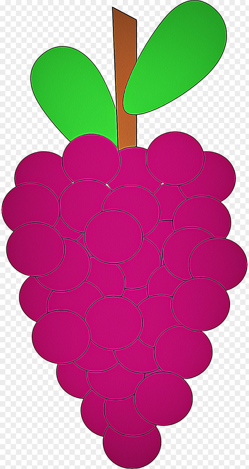Magenta Berry Grape Seedless Fruit Grapevine Family Clip Art PNG