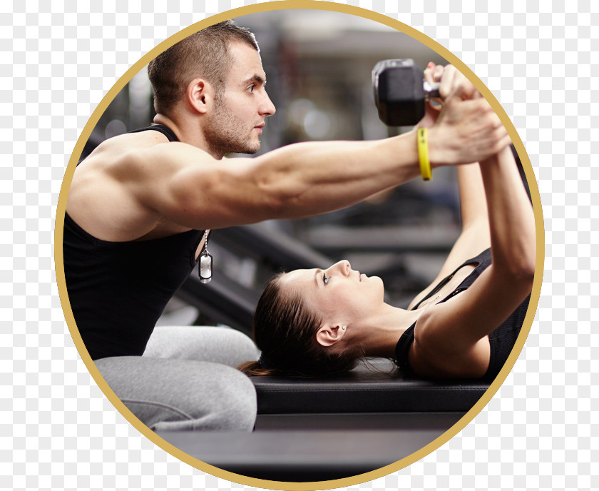 Personal Trainer Fitness Centre Aerobic Exercise Weight Training PNG