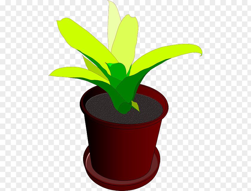 Potted Flowers And Green Plants Houseplant Flowerpot Clip Art PNG