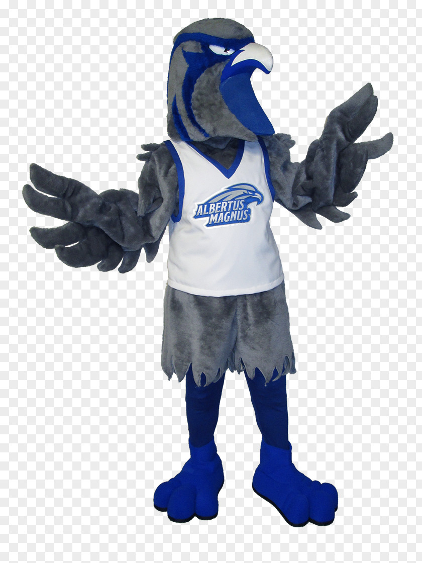 School Albertus Magnus College Niagara University Mascot PNG