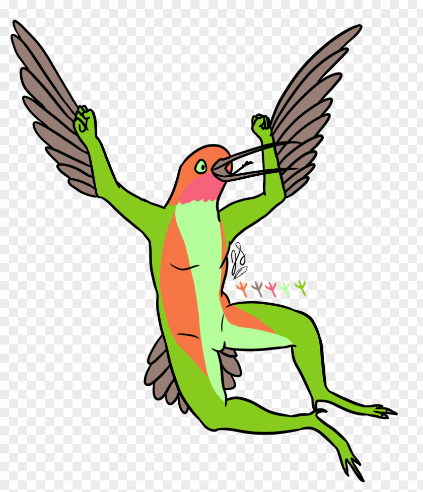 Hummingbird Clip Art Fauna Beak Cartoon PNG