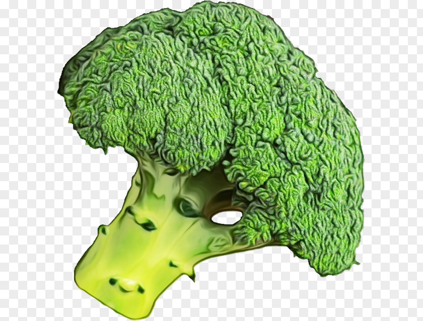 Leaf Vegetable Headgear Green Grass Background PNG