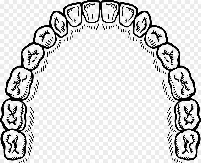 Teeth YouTube Desktop Wallpaper Clip Art PNG