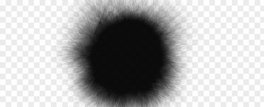 Black Hole Transparent Background And White Circle Wallpaper PNG