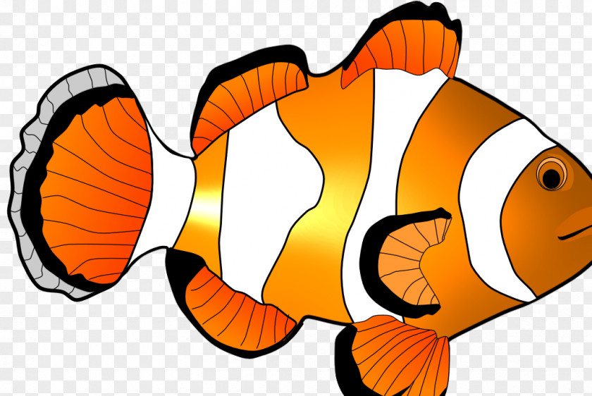 Clownfish Cartoon Clip Art PNG