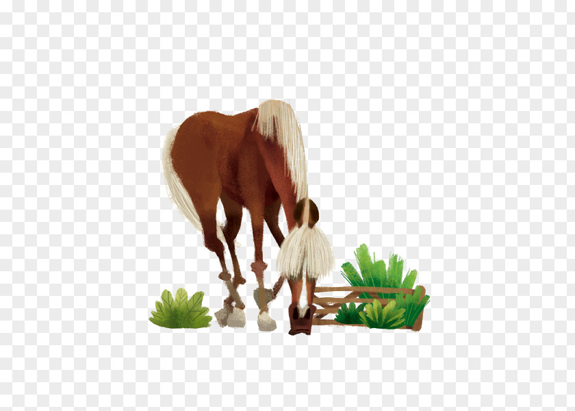 Cow Pony Horse Cartoon Illustration PNG