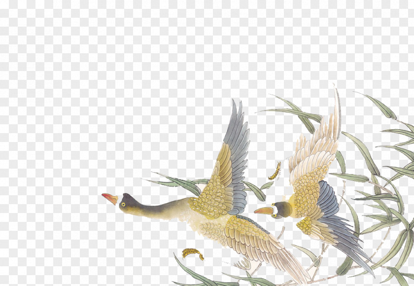 Fly Bird Pictures China Chinese Painting Bird-and-flower Wallpaper PNG