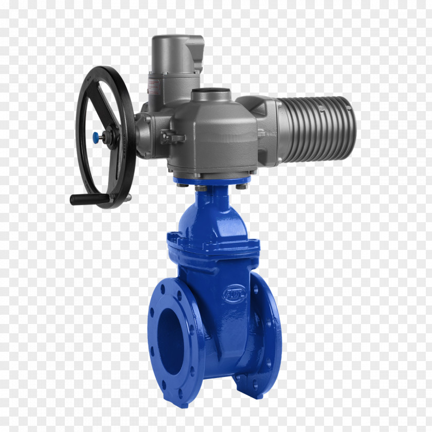Gate Valve Cast Iron Isolation Steel PNG