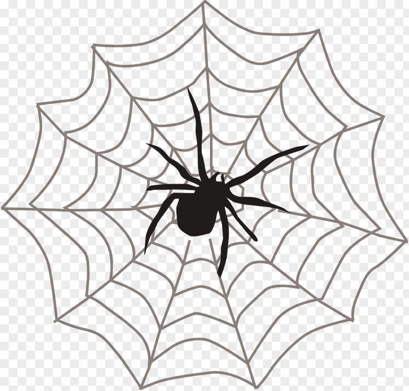 Spider Web Itsy Bitsy Clip Art PNG