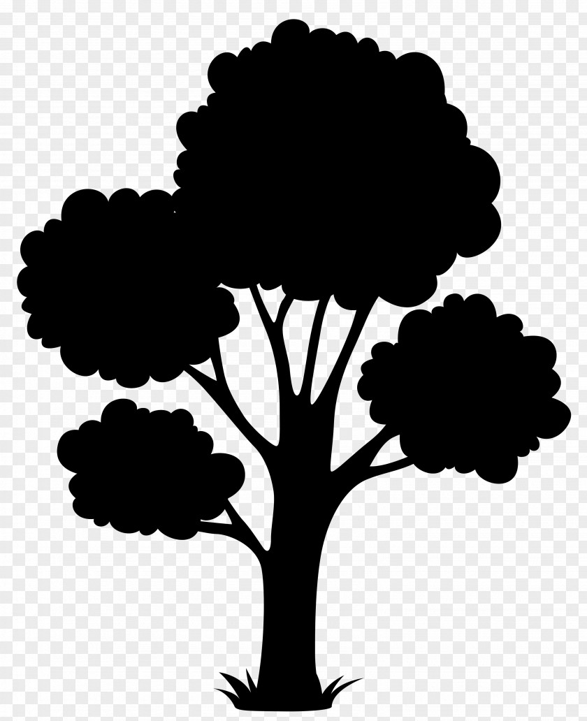 Tree Illustration Flowerpot Vector Graphics Bonsai PNG