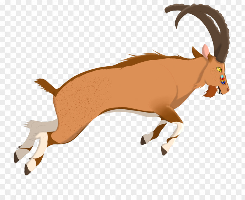 Goat Antelope Deer Cattle Horn PNG