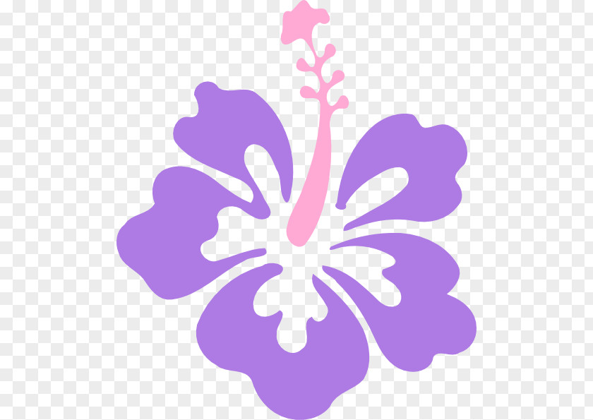 Hawaii Flower Hawaiian Clip Art PNG