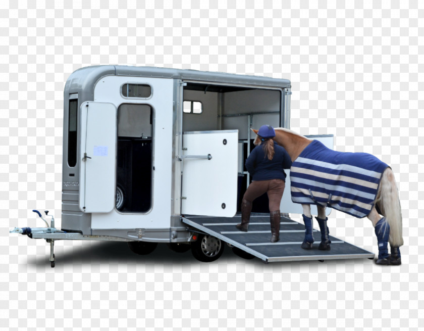 Horse & Livestock Trailers Equestrian Caravan PNG