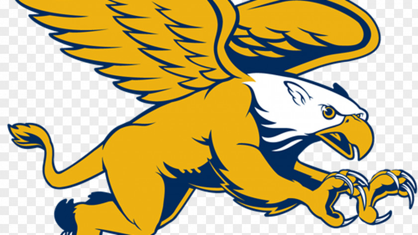 Lacrosse Canisius College Golden Griffins Men's Basketball Women's Ice Hockey Monmouth University PNG