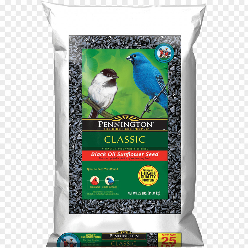 Camellia Oleifera Seed Oil Bird Food Ant Amdro Bait PNG