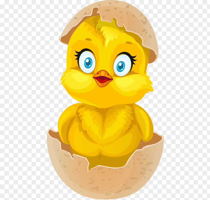 Chicken Egg Kifaranga Clip Art PNG