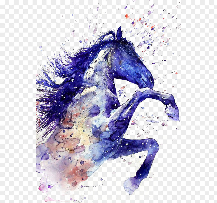 Drawing Ritmeester Horse Watercolor Painting Tattoo PNG