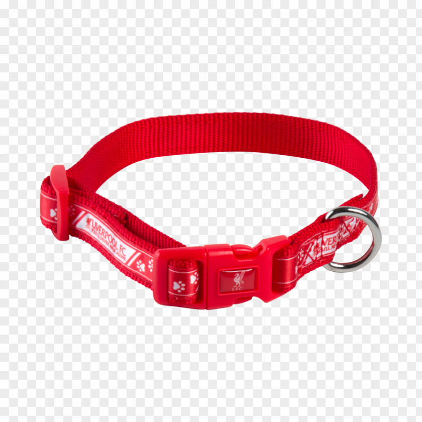 Front Collar Roll Dog Liverpool F.C. Leash PNG