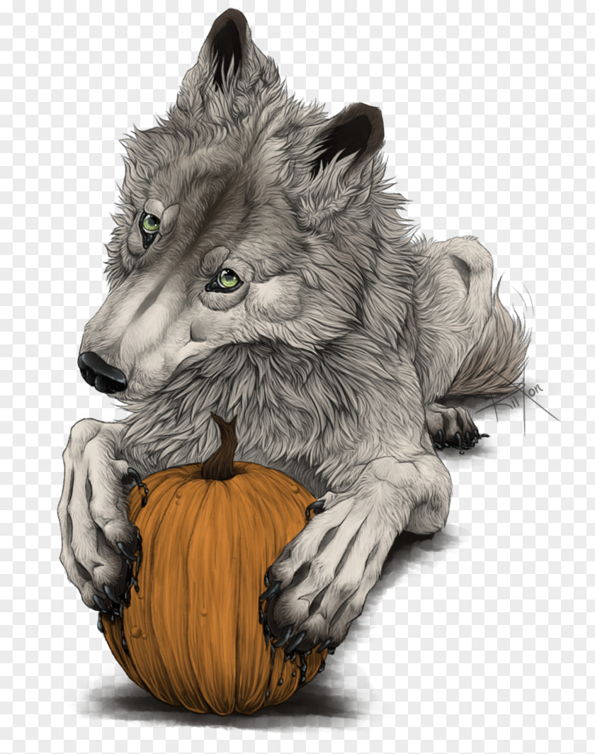 Happy Halloween Gray Wolf Cat Whiskers Fur Snout PNG