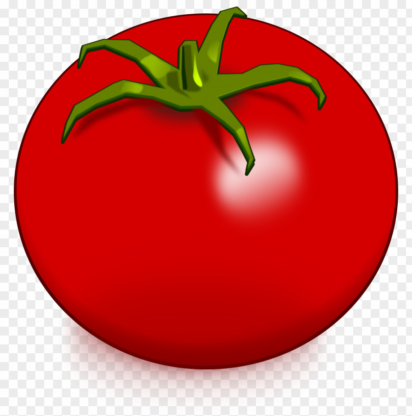 Tomato Drawing Vegetable Clip Art PNG